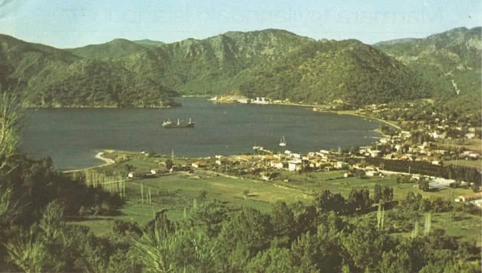 WhatsApp Image 2026-01-20 at 15.30.45